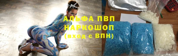 СК Бронницы