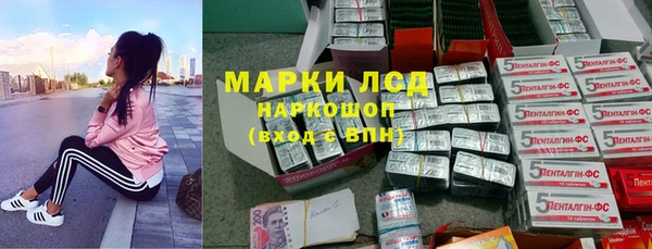 СК Бронницы