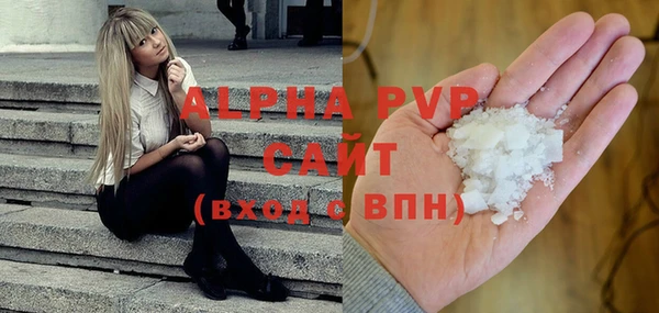 СК Бронницы