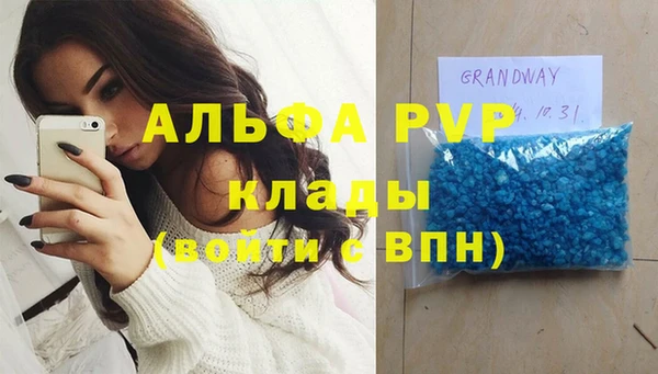 СК Бронницы