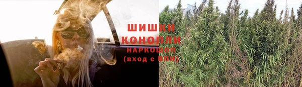 СК Бронницы